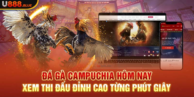 Đá Gà Campuchia Hôm Nay - Xem Thi Đấu Đỉnh Cao Từng Phút Giây