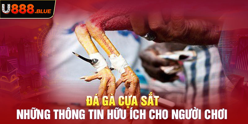 Đá Gà Cựa Sắt - Những Thông Tin Hữu Ích Cho Người Chơi