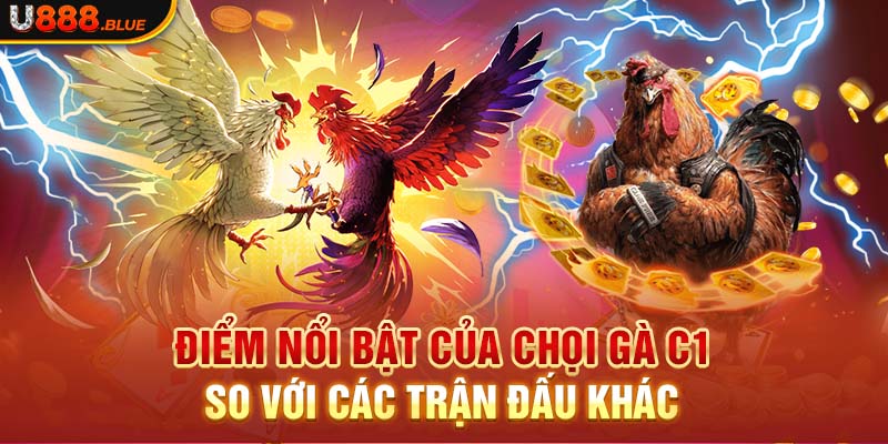 Điểm nổi bật của chọi gà C1 so với các trận đấu khác