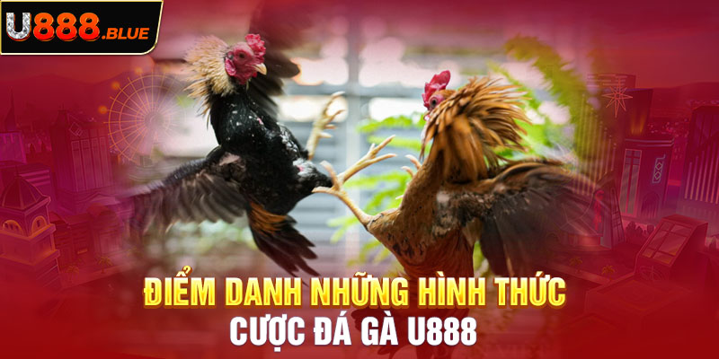 Điểm danh những hình thức cược đá gà U888