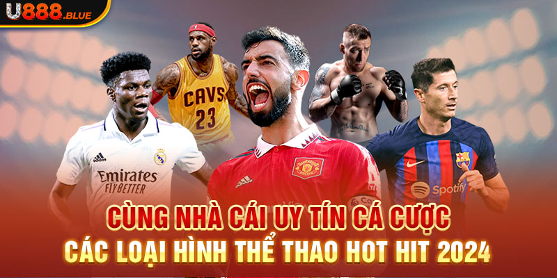 Cùng nhà cái uy tín cá cược các loại hình thể thao hot hit 2024