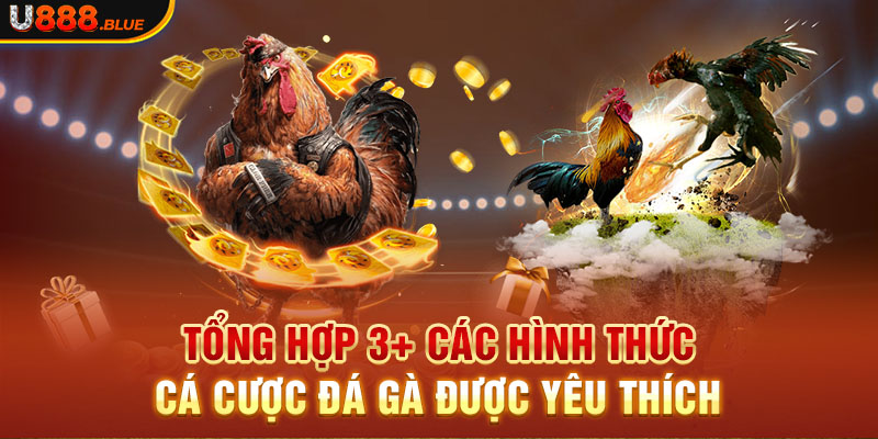 Tổng hợp 3+ các hình thức cá cược đá gà được yêu thích