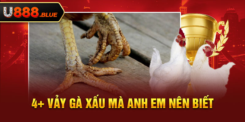 4+ vảy gà xấu mà anh em nên biết